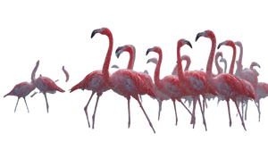 Flamingos In Rain V2 Vinyl Car Decal Sticker – Waterproof & UV-Resistant 2.72"