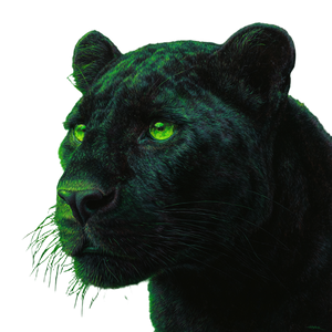 Neon Panther Portrait Vinyl Car Decal Sticker – Waterproof & UV-Resistant 3.4133333333333336"