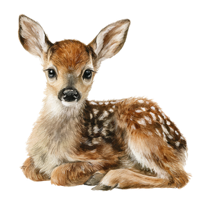 Baby Deer Fawn Vinyl Car Decal Sticker – Waterproof & UV-Resistant 3.4133333333333336"