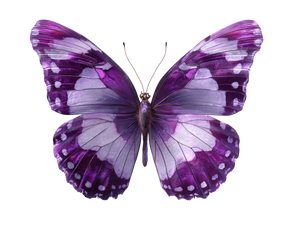 Purple Butterfly V11 Vinyl Car Decal Sticker – Waterproof & UV-Resistant 6.1866666666666665"