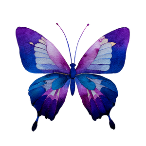 Symmetrical Watercolor Butterfly V2 Vinyl Car Decal Sticker – Waterproof & UV-Resistant 3.4133333333333336"
