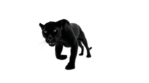 Black Panther Studio Vinyl Car Decal Sticker – Waterproof & UV-Resistant 5.4