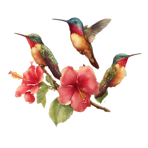 Hummingbirds With Hibiscus V2 Vinyl Car Decal Sticker – Waterproof & UV-Resistant 3.4133333333333336"