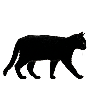 Walking Cat Silhouette Vinyl Car Decal Sticker – Waterproof & UV-Resistant 3.4133333333333336"