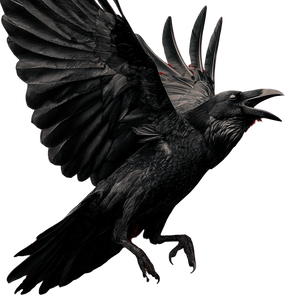 Screaming Raven V3 Vinyl Car Decal Sticker – Waterproof & UV-Resistant 3.4133333333333336"