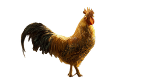 Golden Rooster Vinyl Car Decal Sticker – Waterproof & UV-Resistant 2.72"