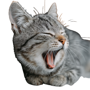 Yawning Gray Cat Vinyl Car Decal Sticker – Waterproof & UV-Resistant 3.4133333333333336"