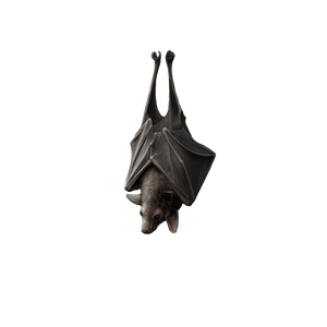 Vampire Bat Frame V4 Vinyl Car Decal Sticker – Waterproof & UV-Resistant 3.4133333333333336"