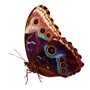 Butterfly Vector V2 Vinyl Car Decal Sticker – Waterproof & UV-Resistant 3.4133333333333336"