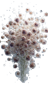 Molecular Flower Bouquet Vinyl Car Decal Sticker – Waterproof & UV-Resistant 4.8533333333333335"