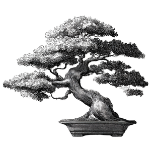 Vintage Bonsai Engraving Vinyl Car Decal Sticker – Waterproof & UV-Resistant 3.4133333333333336"