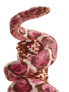 Luxury Snake & Chips Vinyl Car Decal Sticker – Waterproof & UV-Resistant 4.1066666666666665"