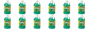 12x Rain-X Green Windshield Washer Fluid | 1 Gallon Jug | Bug Remover and Rain Repellant | Effective To 32°F | Case Of 6