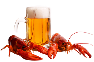 Beer With Crayfish V2 Vinyl Car Decal Sticker – Waterproof & UV-Resistant 5.97333333333333