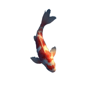 Dreamy Koi Carp Vinyl Car Decal Sticker – Waterproof & UV-Resistant 3.4133333333333336"
