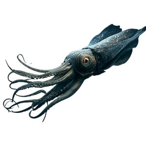 Giant Squid V6 Vinyl Car Decal Sticker – Waterproof & UV-Resistant 3.4133333333333336"