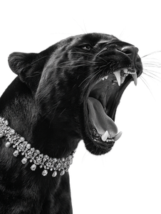 Luxury Panther V2 Vinyl Car Decal Sticker – Waterproof & UV-Resistant 8.213333333333333"