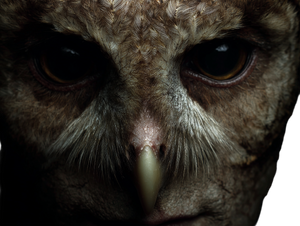 Owl Human Hybrid V2 Vinyl Car Decal Sticker – Waterproof & UV-Resistant 6.1866666666666665"