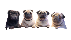 Pugs Playing Crokinole Vinyl Car Decal Sticker – Waterproof & UV-Resistant 5.4