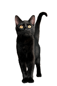Black Cat Mumu V2 Vinyl Car Decal Sticker – Waterproof & UV-Resistant 8.96"