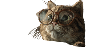 Realistic Cat Portrait V3 Vinyl Car Decal Sticker – Waterproof & UV-Resistant 2.72"