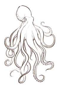 Black Outline Octopus Vinyl Car Decal Sticker – Waterproof & UV-Resistant 4.4