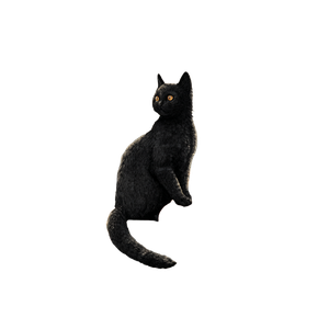 Halloween Black Cat V13 Vinyl Car Decal Sticker – Waterproof & UV-Resistant 3.4133333333333336"