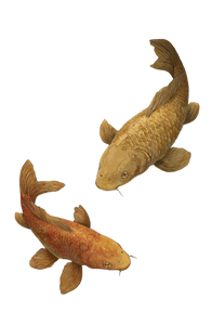 Golden Koi Painting V4 Vinyl Car Decal Sticker – Waterproof & UV-Resistant 4.4