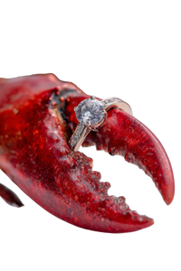Lobster Claw Pinching Ring V2 Vinyl Car Decal Sticker – Waterproof & UV-Resistant 8.96"