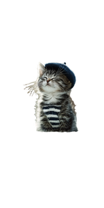 Stylish Cat V21 Vinyl Car Decal Sticker – Waterproof & UV-Resistant 10.2