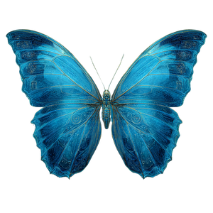 Oceanblue Butterfly V4 Vinyl Car Decal Sticker – Waterproof & UV-Resistant 3.4133333333333336"