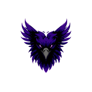 Condor Football Logo Vinyl Car Decal Sticker – Waterproof & UV-Resistant 3.4133333333333336"