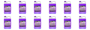 12x VP Racing Fuels Engine Coolant | STAY FROSTY  Pre-Mixed Formula | Hi-Performance | Race Ready | 0.5 Gallon