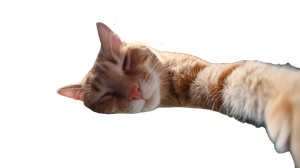 Sleeping Cat Below V2 Vinyl Car Decal Sticker – Waterproof & UV-Resistant 2.72"