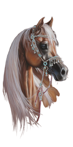 Arabian Horse Portrait V3 Vinyl Car Decal Sticker – Waterproof & UV-Resistant 10.2