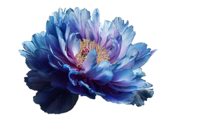 Indigo Peony Glow V2 Vinyl Car Decal Sticker – Waterproof & UV-Resistant 5.4