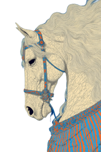 Majestic Baroque Horse V2 Vinyl Car Decal Sticker – Waterproof & UV-Resistant 8.96"