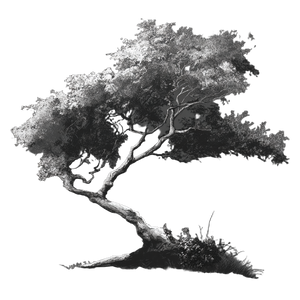 Monochrome Sprawling Tree V2 Vinyl Car Decal Sticker – Waterproof & UV-Resistant 3.4133333333333336"