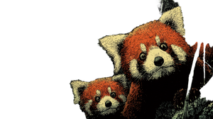 Startled Red Pandas V2 Vinyl Car Decal Sticker – Waterproof & UV-Resistant 2.72" Startled Red Pandas V2 Vinyl Car Decal Sticker – Waterproof & UV-Resistant 2.72"