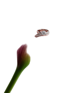 Pink Calla Lily V9 Vinyl Car Decal Sticker – Waterproof & UV-Resistant 8.213333333333333"