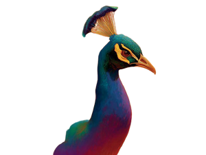 Peacock V5 Vinyl Car Decal Sticker – Waterproof & UV-Resistant 6.1866666666666665"