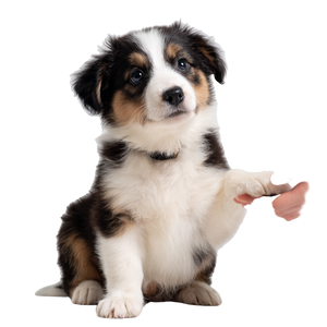 Happy Cute Puppy V2 Vinyl Car Decal Sticker – Waterproof & UV-Resistant 6.826666666666667"