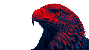 Red Eagle Vinyl Car Decal Sticker – Waterproof & UV-Resistant 5.4