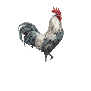 Elegant Rooster Painting V3 Vinyl Car Decal Sticker – Waterproof & UV-Resistant 3.4133333333333336"