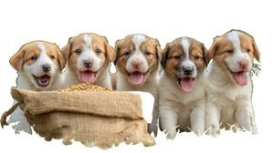 Puppies With Food Vinyl Car Decal Sticker – Waterproof & UV-Resistant 2.72"