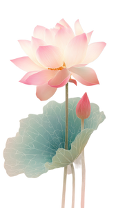 Lotus Flower Illustration V3 Vinyl Car Decal Sticker – Waterproof & UV-Resistant 9.706666666666667"