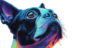Blacklight Boston Terrier Vinyl Car Decal Sticker – Waterproof & UV-Resistant 5.4