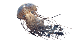 Jellyfish Rendering Vinyl Car Decal Sticker – Waterproof & UV-Resistant 2.72"