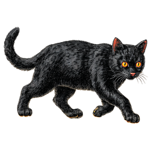 Vintage Halloween Cat V8 Vinyl Car Decal Sticker – Waterproof & UV-Resistant 6.826666666666667"