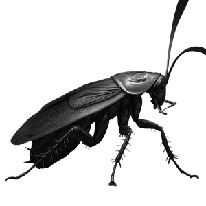 Dark Digital Cockroach V3 Vinyl Car Decal Sticker – Waterproof & UV-Resistant 6.826666666666667"